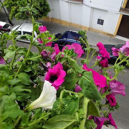 コルドバEl Capricho De San Fernando, Consigna Gratis Y Parking A 200Mtsアパートメント エクステリア 写真