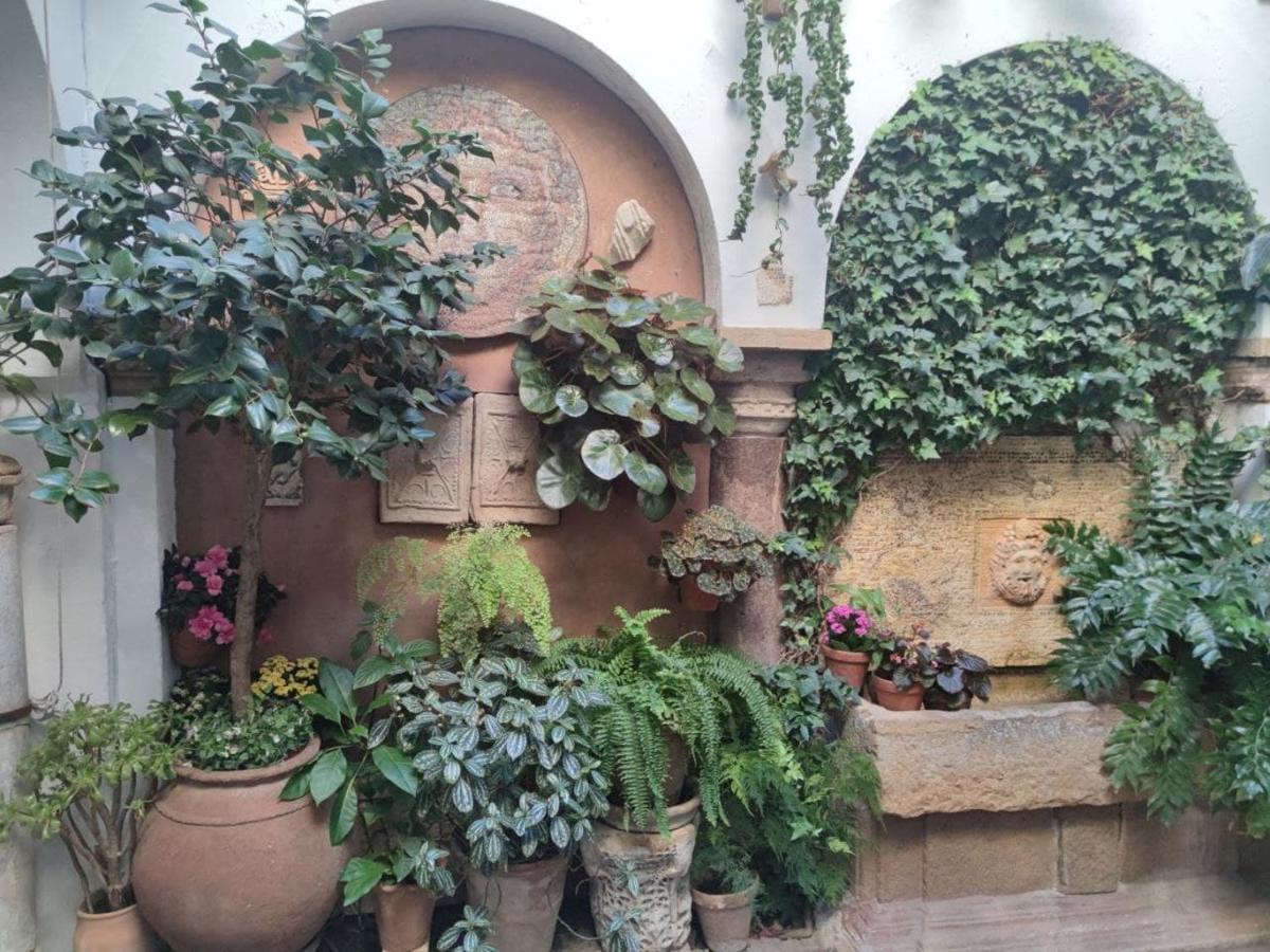 コルドバEl Capricho De San Fernando, Consigna Gratis Y Parking A 200Mtsアパートメント エクステリア 写真