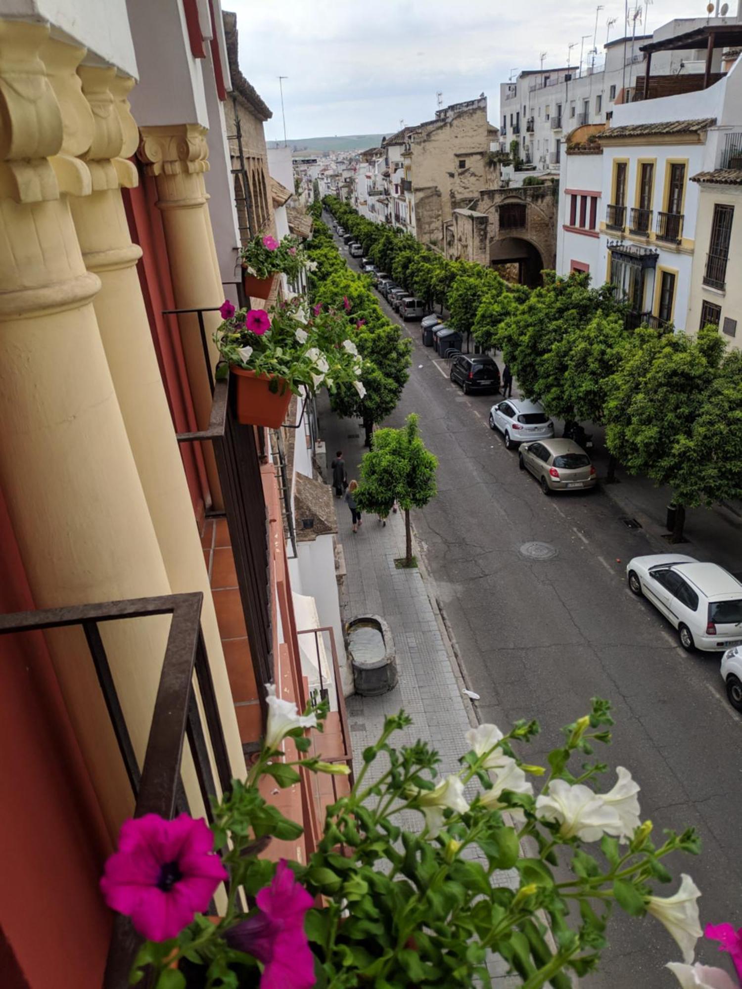 コルドバEl Capricho De San Fernando, Consigna Gratis Y Parking A 200Mtsアパートメント エクステリア 写真