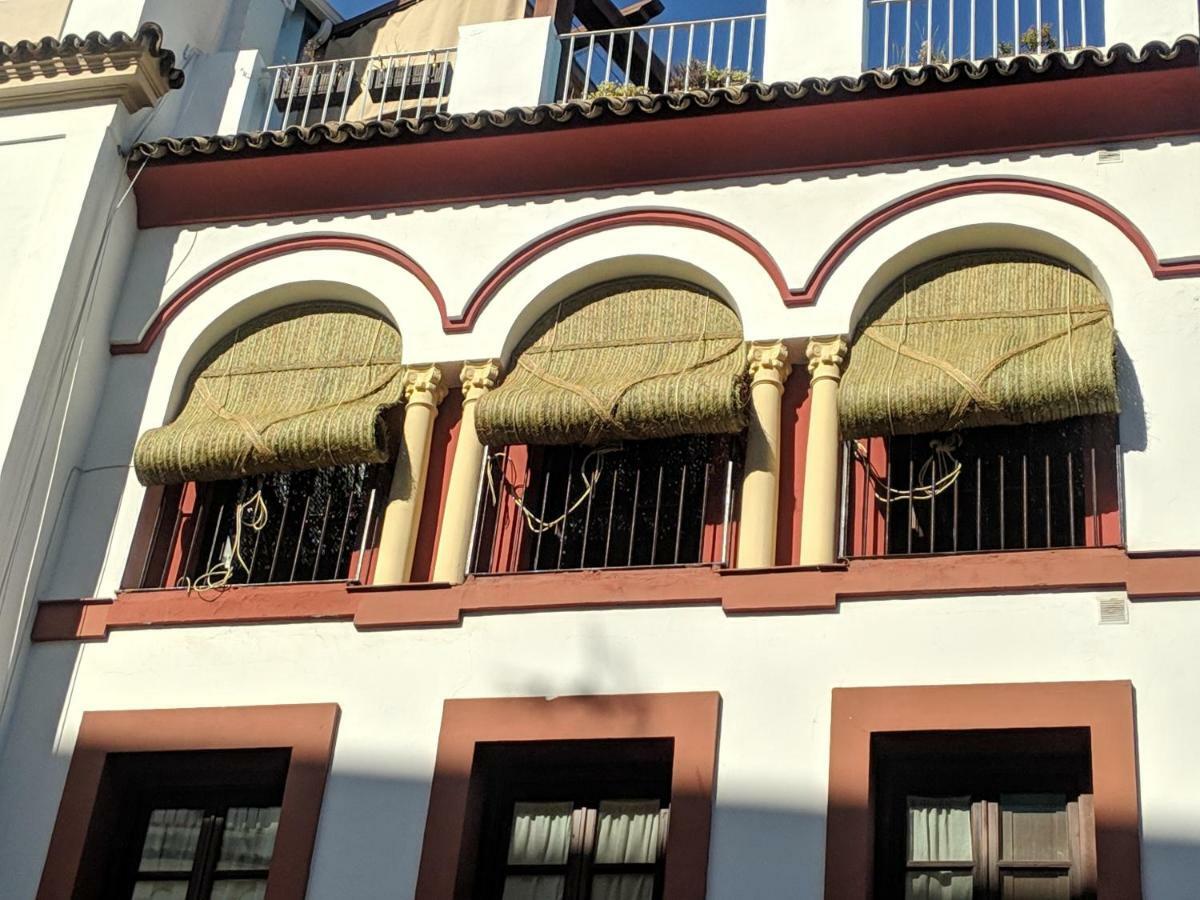 コルドバEl Capricho De San Fernando, Consigna Gratis Y Parking A 200Mtsアパートメント エクステリア 写真